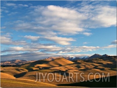 North Otago Landscape, South Island, New Zealand