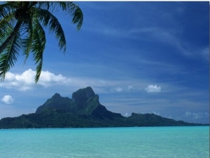 Palm Tree, Water and Island, Bora Bora, Tahiti