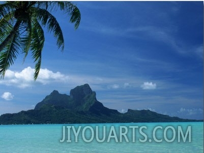 Palm Tree, Water and Island, Bora Bora, Tahiti