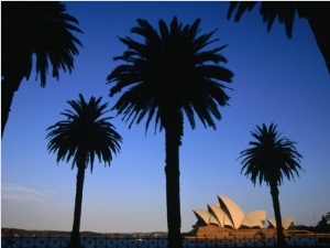 Sydney Opera House Viewed from Dawes Point Park, Sydney, New South Wales, Australia