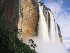 Angel Falls, Cliffs and Trees