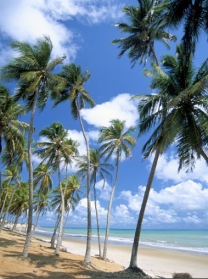 Cabo De Sao Roque, Natal, Rio Grande Do Norte State, Brazil, South America