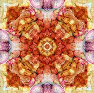 Colseaworld Mandala, no. 3