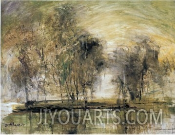 Willows in Morning Wind