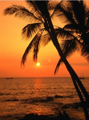 A Couple in Silhouette, Enjoying a Romantic Sunset Beneath the Palm Trees in Kailua Kona, Hawaii