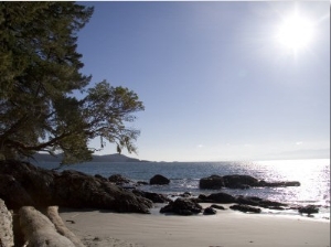 A View of a Beach in British Columbia