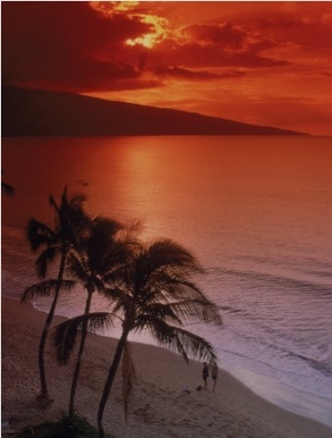 Aerial of Tropical Beach at Sunset, Maui, HI