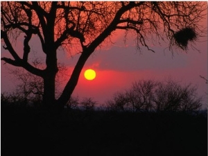 African Sunset, Kruger National Park, Kruger National Park, Mpumalanga, South Africa