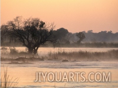 Early Morning Mist Rises off the Zambezi River, Zambezi National Park, Matabeleland North, Zimbabwe