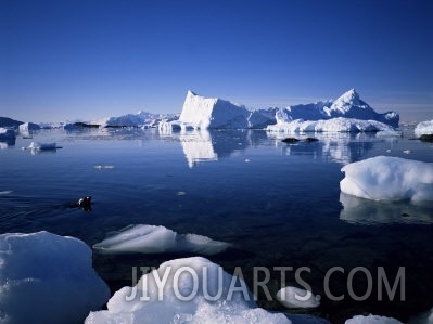 Ice Scenery and Seal, Antarctica, Polar Regions