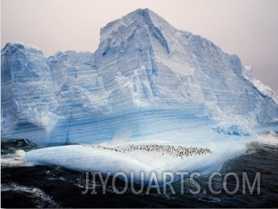 Neko Harbor, Gerlache Strait, Antarctic Peninsula, Antarctica, Polar Regions