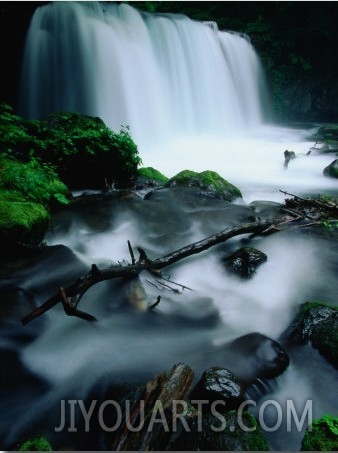 Waterfall and Rocks in Aomori Ken, Oirase Gorge, Japan