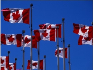 Canadian Flags Flying in the Wind, Vancouver, Canada