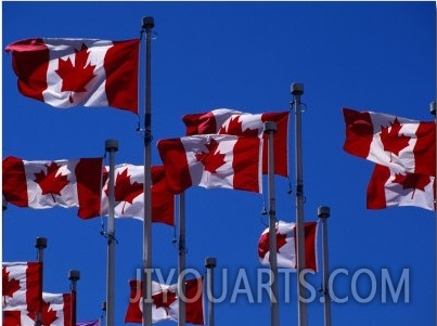 Canadian Flags Flying in the Wind, Vancouver, Canada