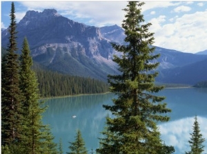 Emerald Lake, Yoho National Park, Rocky Mountains, British Columbia, Canada