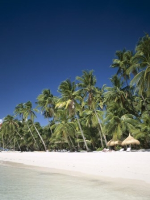 Boracay Beach, Palm Trees and Sand, Boracay Island, Philippines