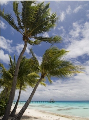 Fakarawa, Tuamotu Archipelago, French Polynesia Islands