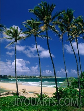 Lydgate Park, Wailua, Kauai, Hawaii, USA