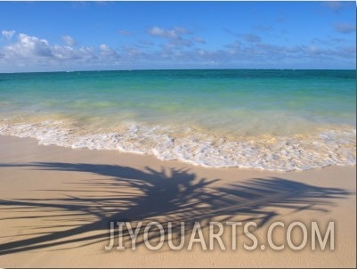 Palm Tree Shadow on Beach, Lani Kai, HI