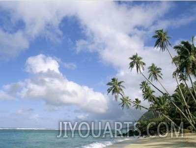 Palm Trees and Sea, Lalomanu Beach, Upolu Island, Western Samoa