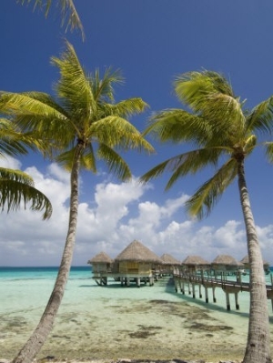 Pearl Beach Resort, Tikehau, Tuamotu Archipelago, French Polynesia Islands