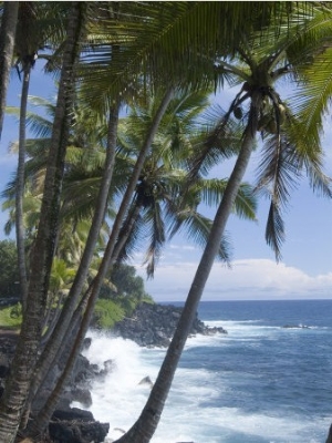 Puna (Black Sand) Beach, Island of Hawaii (Big Island), Hawaii, USA