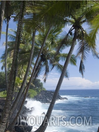 Puna (Black Sand) Beach, Island of Hawaii (Big Island), Hawaii, USA