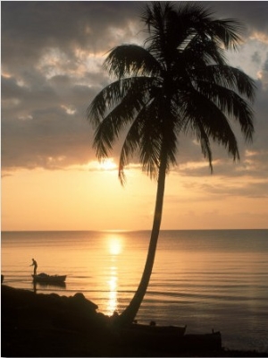 Sunrise with Man in Boat and Palm Tree, Belize