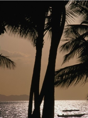 Tropical Island Paradise, Fiji, Pacific