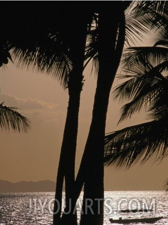 Tropical Island Paradise, Fiji, Pacific