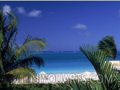 Tropical Beach, Turks and Caicos Islands