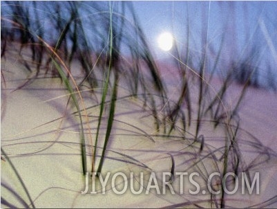 A View of a Full Moon Rising Above a Sand Dune