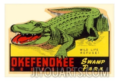 Gator from Okefenokee Swamp Park