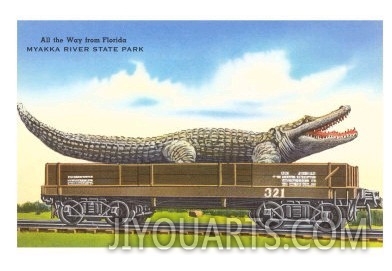 Giant Alligator on Rail Car, Myakka River State Park, Florida