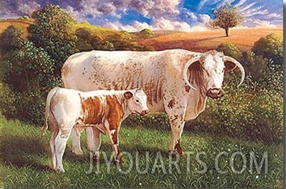 Longhorn Cow And Calf