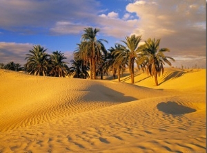 Sand Dunes and Oasis, Desert, Tunisia