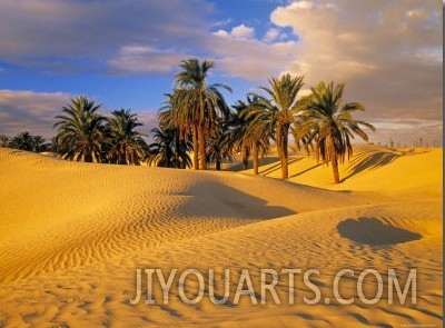 Sand Dunes and Oasis, Desert, Tunisia
