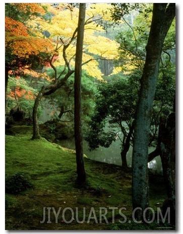 Garden of Moss in Saihoji Temple