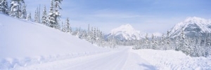 Highway Passing through a Snow Covered Landscape, Alberta, Canada