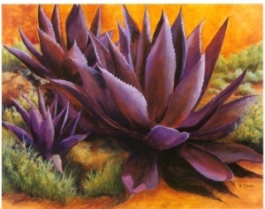 Purple Agaves on the Rocks