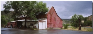 Tree in Front of a Barn, Historical Barn, Mesa, Colorado, USA