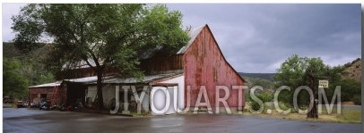 Tree in Front of a Barn, Historical Barn, Mesa, Colorado, USA