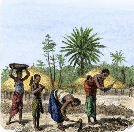 Women Planting Crops in Central Africa, 1860s