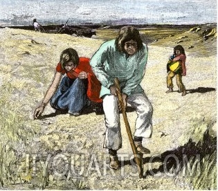 Zuni Family Planting their Crops, New Mexico