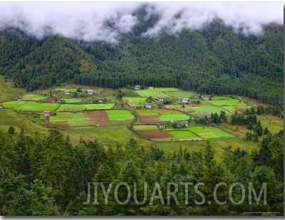 Houses and Farmlands in the Phobjikha Valley, Gangtey Village, Bhutan