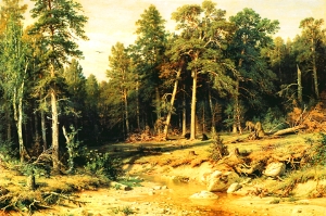 landscape 1