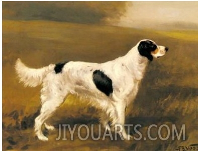 English Springer Spaniel