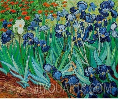 Irises II