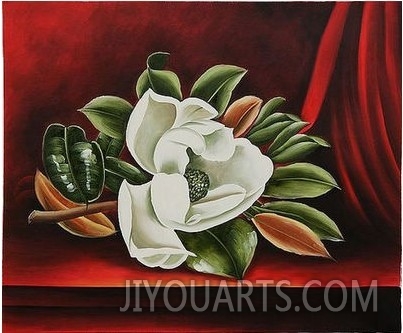 White Magnolia on Red Background