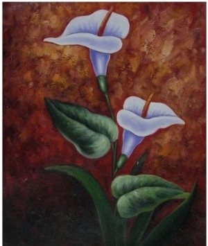 Two Calla Lilies